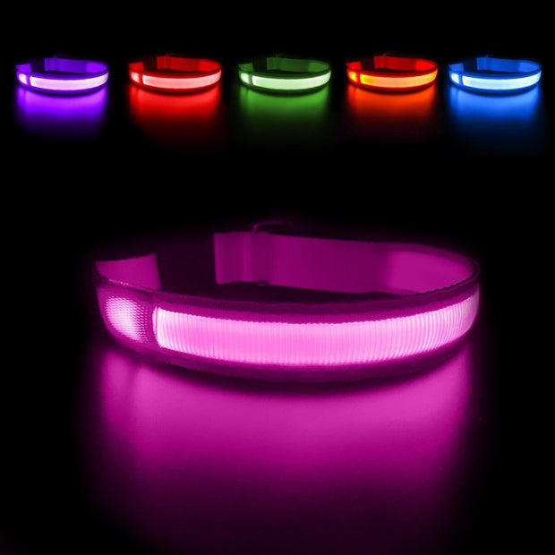 Rechargeable Glowing Dog Collar - The Pet Delights