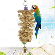 Hanging Clawing Toy for Birds - The Pet Delights