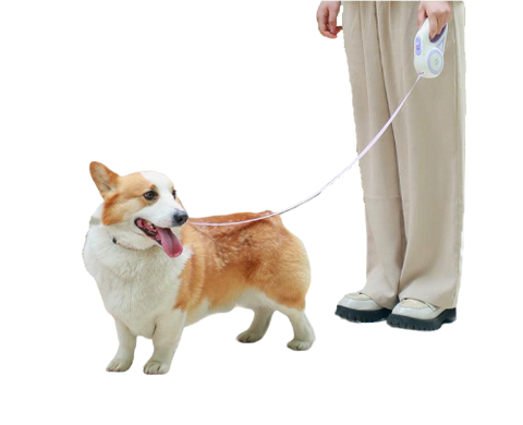 3M/5M Flexi Retractable Dog Leash Best Flexi Dog Leash-ThePetDelights