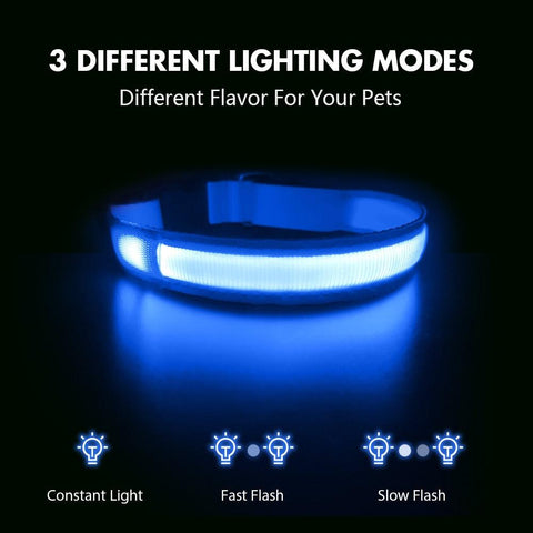 Rechargeable Glowing Dog Collar - The Pet Delights