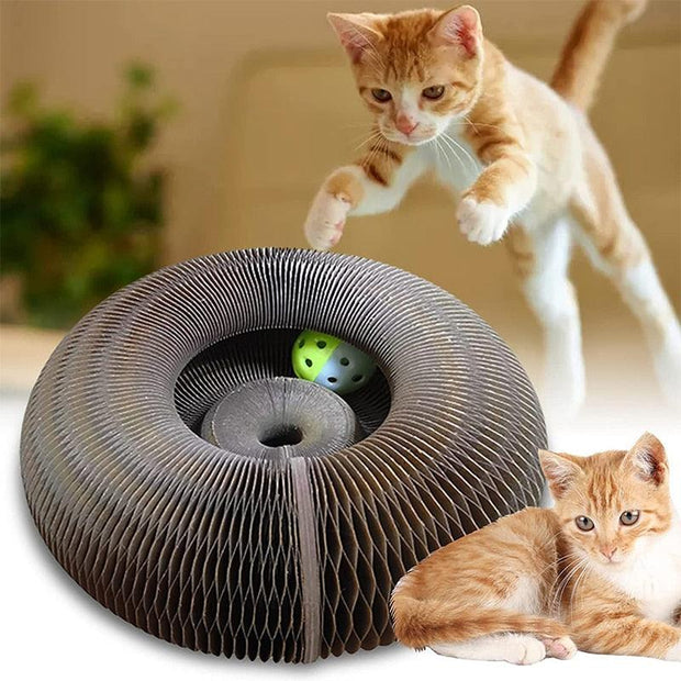 Interactive Scratch Board with Bell Ball - The Pet Delights